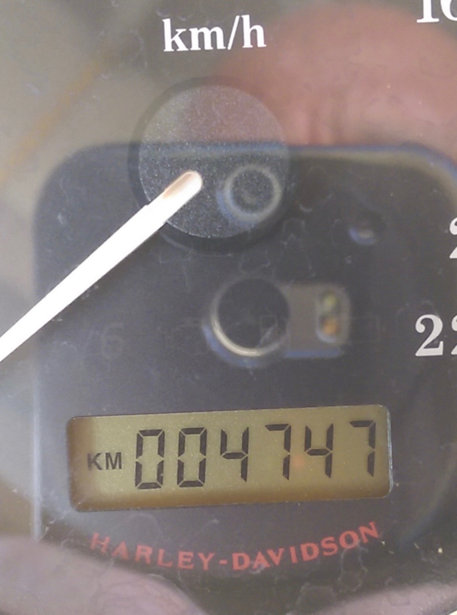 HD XL 1200 V Sportster 2013 less than 5000km.
