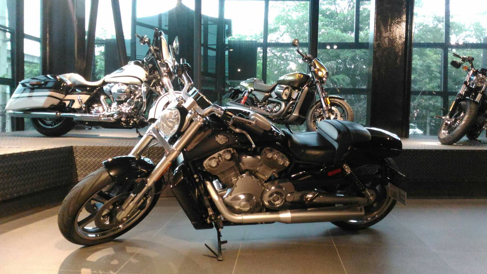 Sale V-rod MUSCLE 2015 (1HD) +++++++