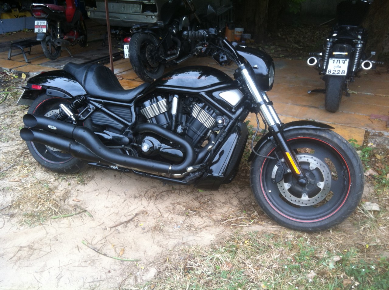 NIGHT ROD SPECIAL