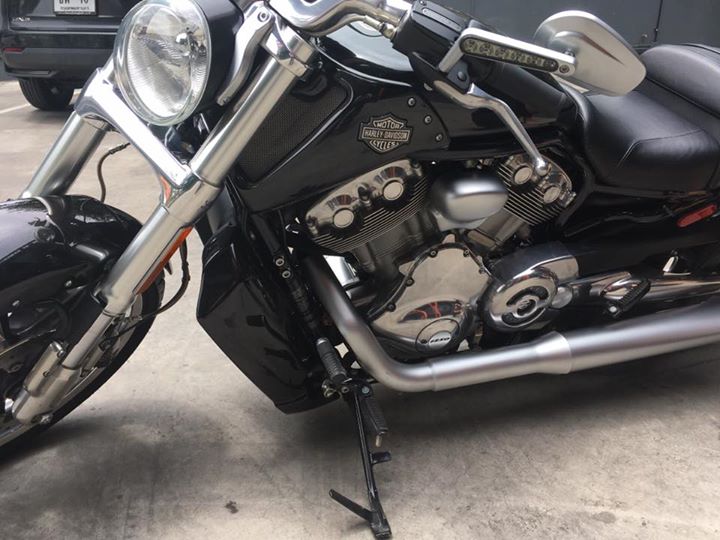 Sale V-rod MUSCLE 2015 (1HD)