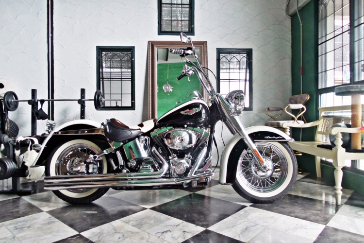 ขาย SOFTAIL DELUX แต่งงามๆ ครับ