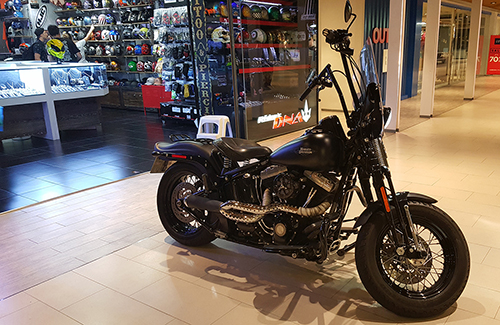 Harley Davidson Crossbones 2011