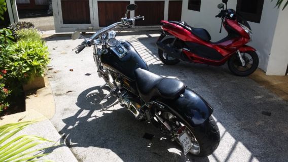 Softail custom