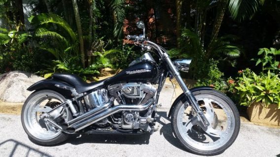 Harley Davidson Sotail Custom