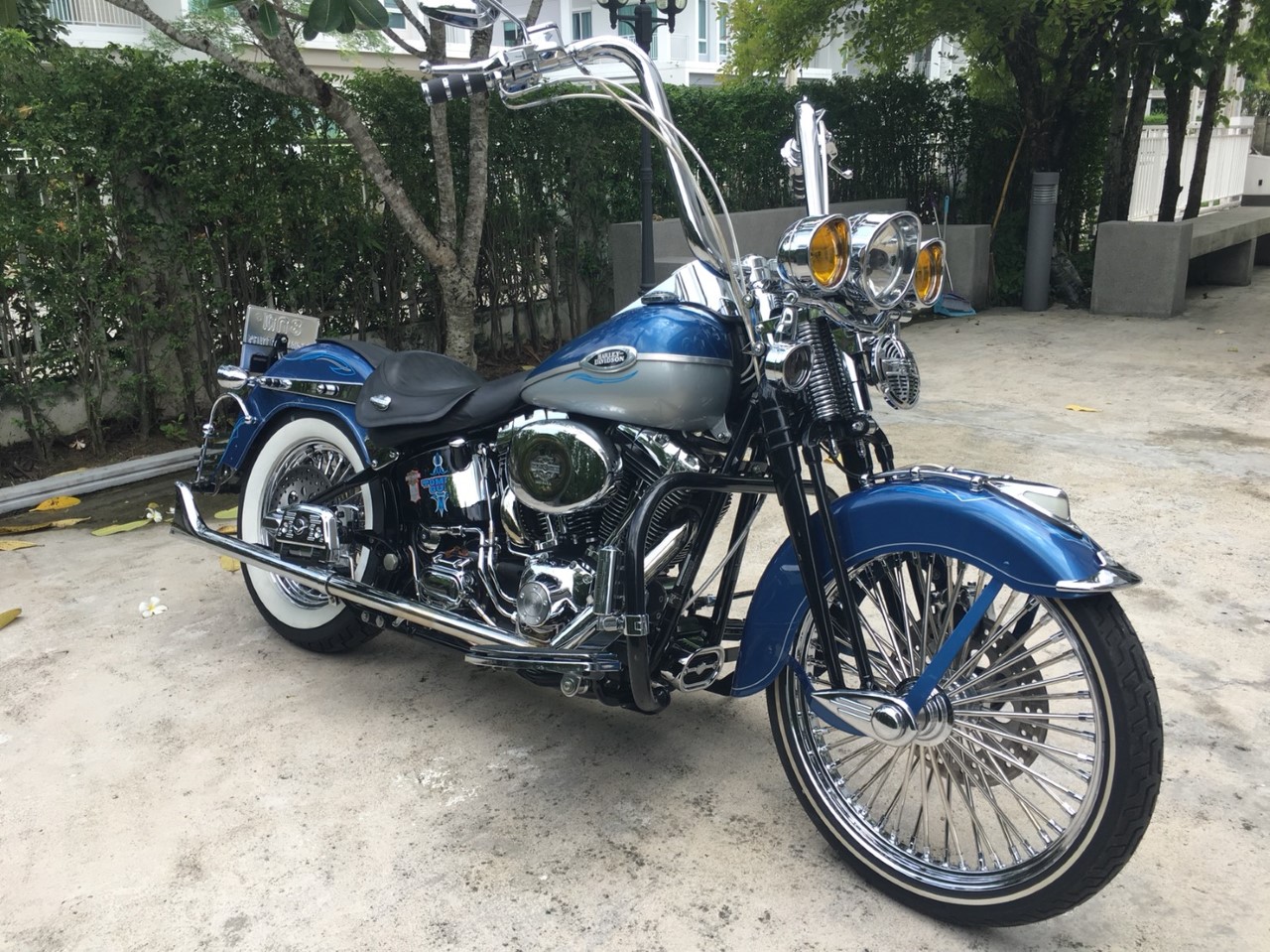 2005 Softail Springer classic