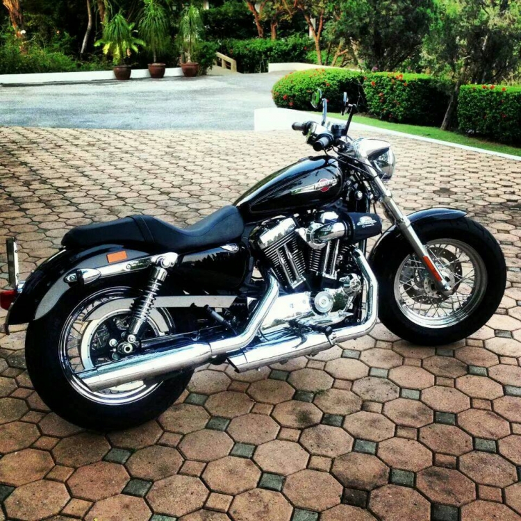 Used harley sporster 1200 custom