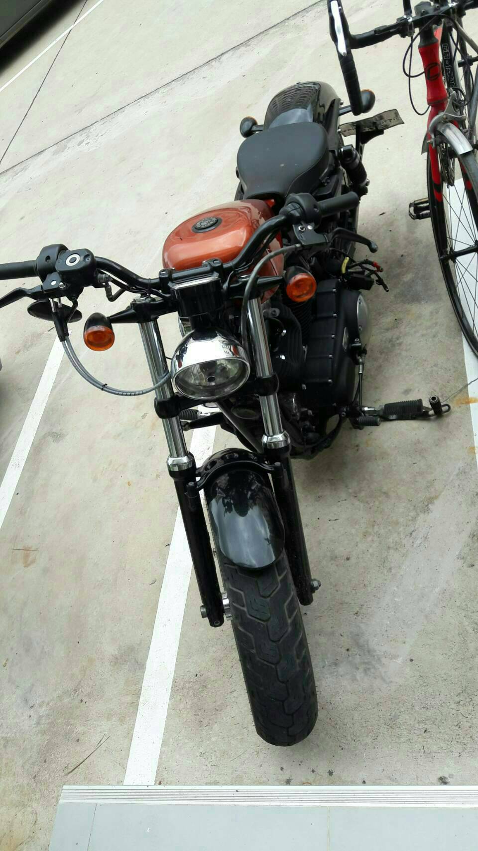 ขาย Harley 48 ปี2008 พร้อมสรรพวามิตร 320000