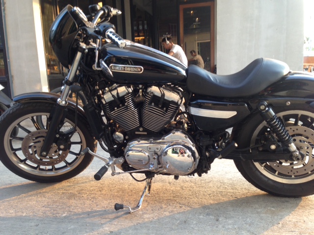 ขาย Sportster 1200 ปี 08