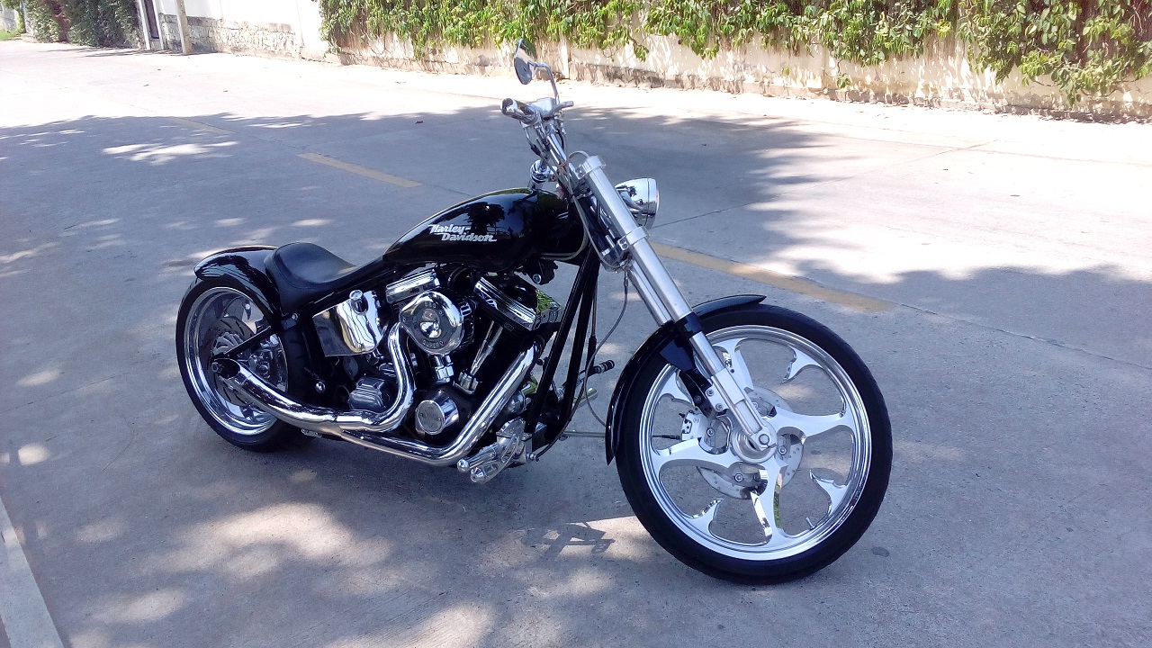 Custom Harley Davidson 2001