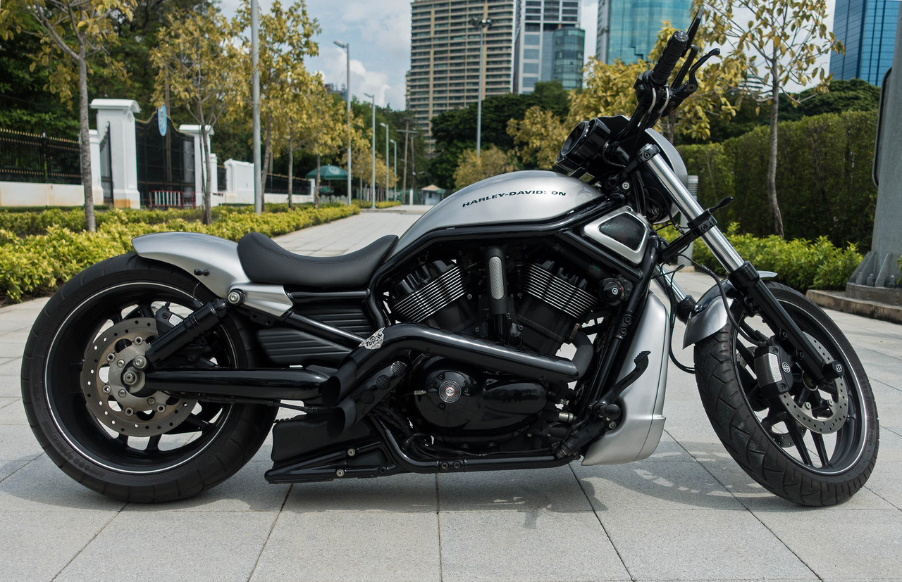 ้ขาย Night Rod Special ปี 2011