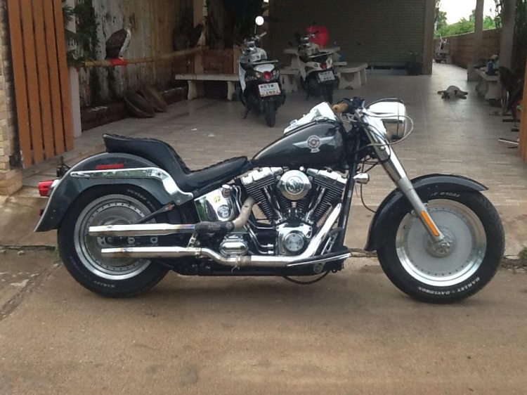 ขาย harley fatboy 15 ปี รถสวยเเต่งมาจากญี่ปุ่น