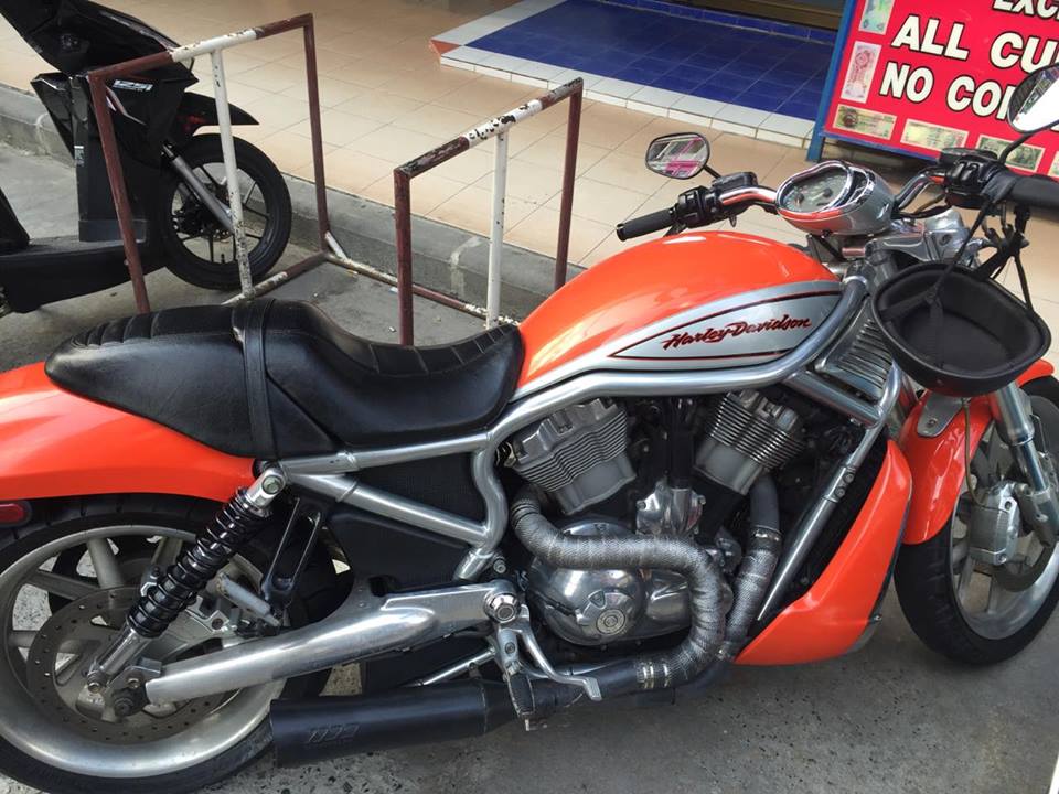ขาย : Harley Davidson V-Rod ปี2006