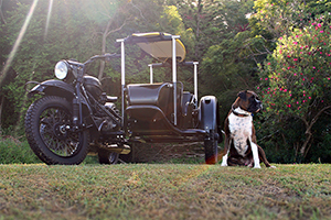 AIRCRAFT DESIGNER BUILDS A URAL FOR HIS DOG AND SURFBOARD