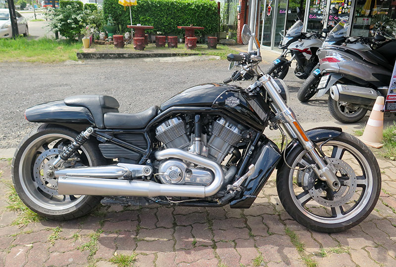 HD Vrod Muscle 1250 cc. Year 2008 ขายแค่ 730000 บาท