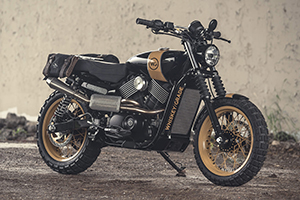 STREET TO DIRT: ANALOG’S HARLEY-DAVIDSON STREET 750