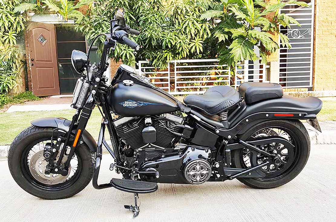 Harley Davidson Crossbones 2011