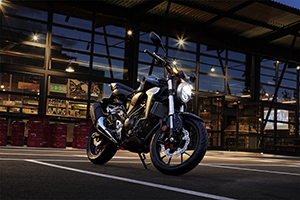 HONDA คอนเฟิร์ม CB300R ลุยตลาด CANADA แน่นอน