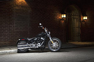 2020 HARLEY-DAVIDSON SOFTAIL STANDARD FIRST LOOK