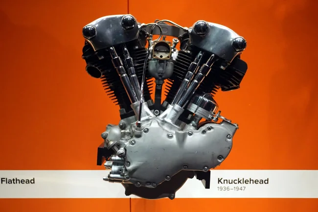 Knucklehead